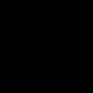 Meet your Posher, Pedro